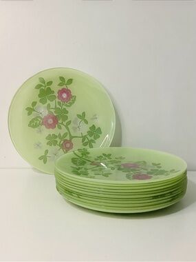 IKEA Vintage Retired IDEELL Dinner Plates Set of 12   🌺🌱